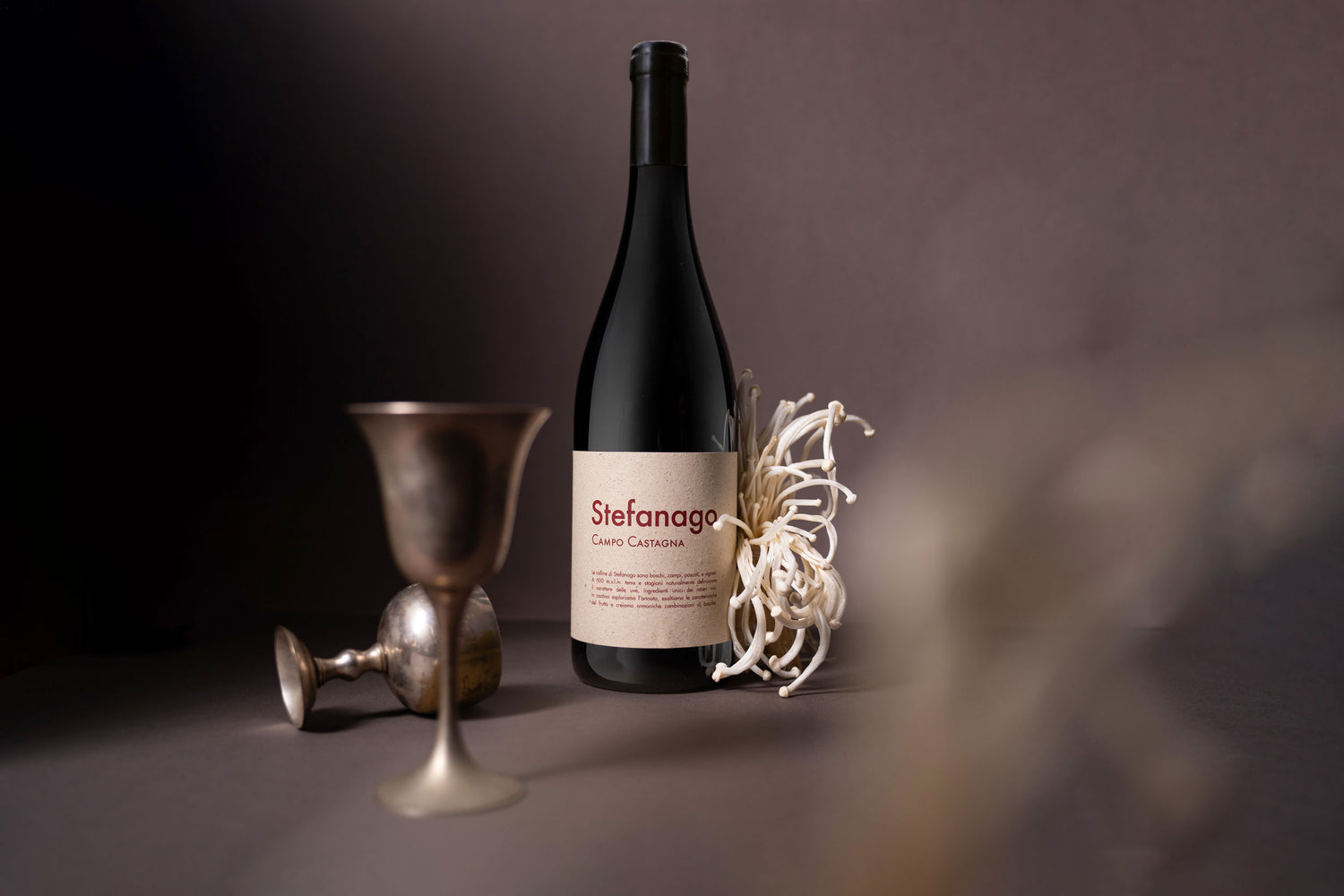Campo Castagna Organic Italian Red Wine Bottle – Available at InVinus