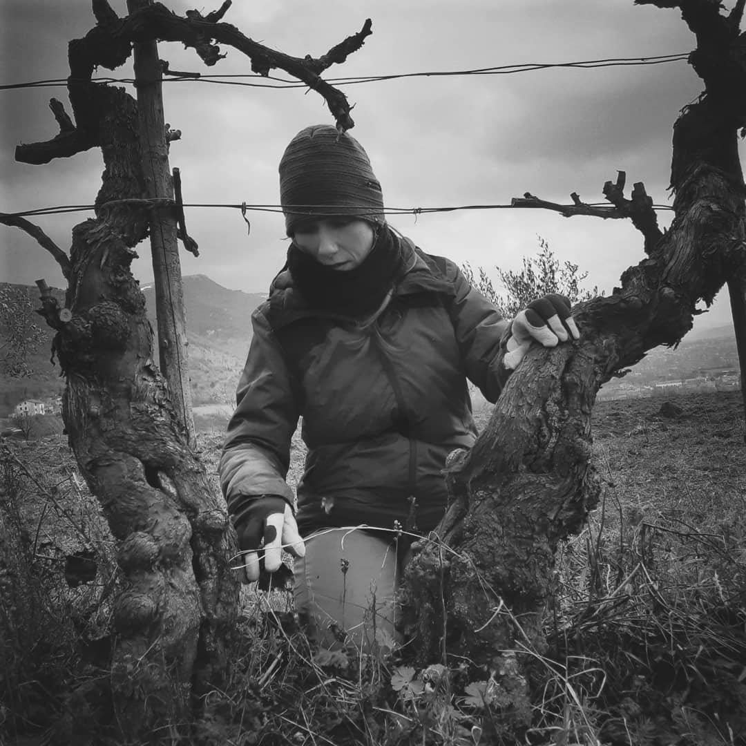 Cantina Antonioli Wine Producer Portrait – Showcasing Traditional Italian Winemaking at InVinus