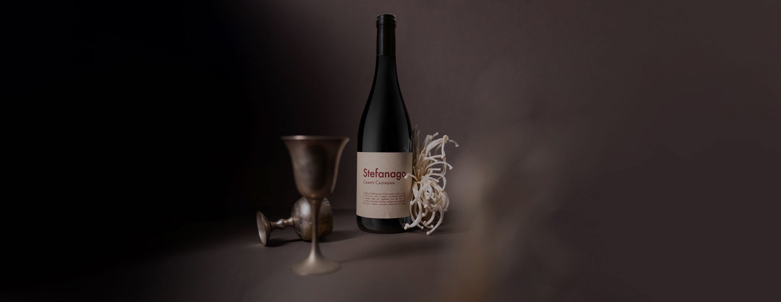 Campo Castagna Organic Italian Red Wine Bottle – Available at InVinus