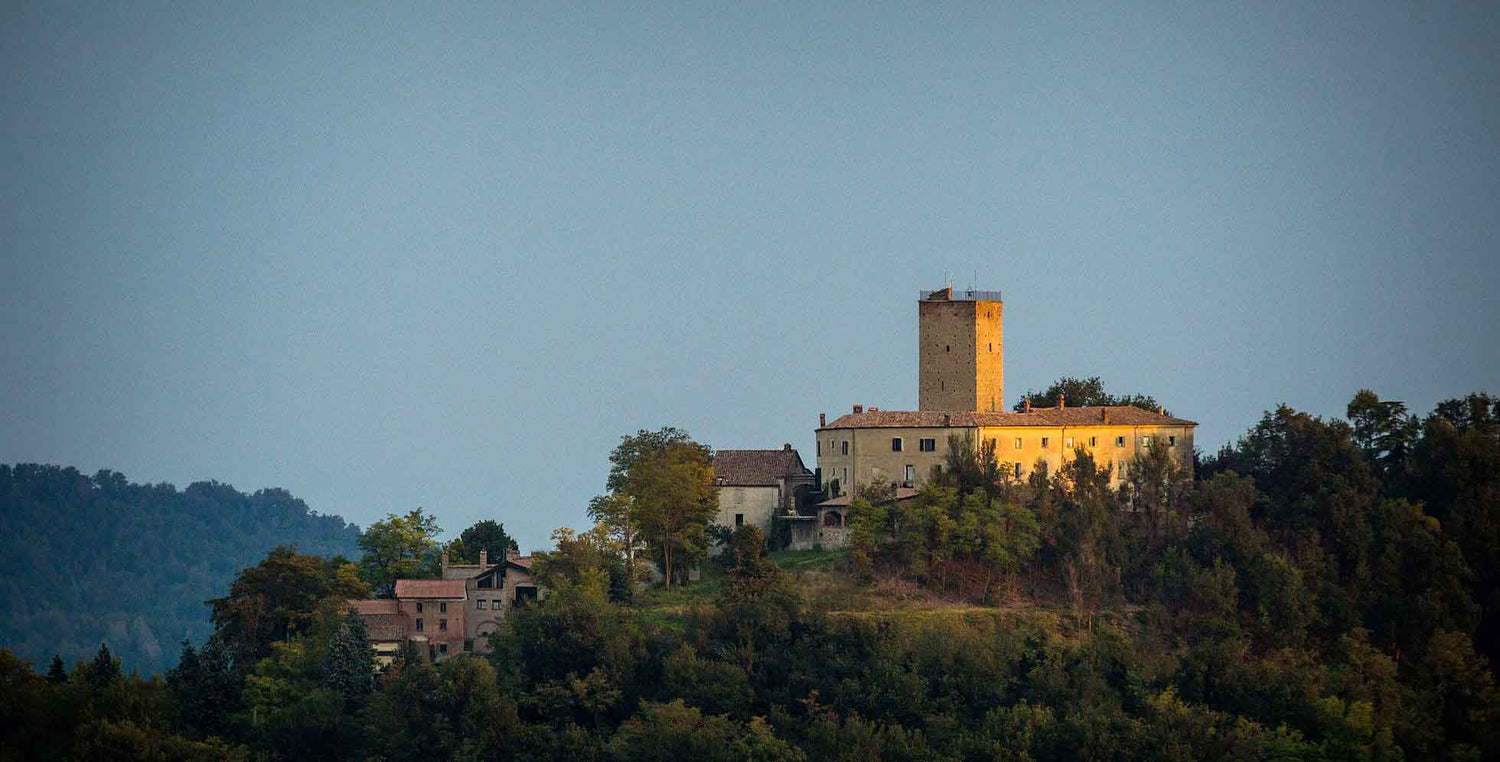 Castello di Stefanago Cellar – Historic 14th-Century Castle Cellar Surrounded by Vineyards, Meadows, and Forests in Lombardy at InVinus