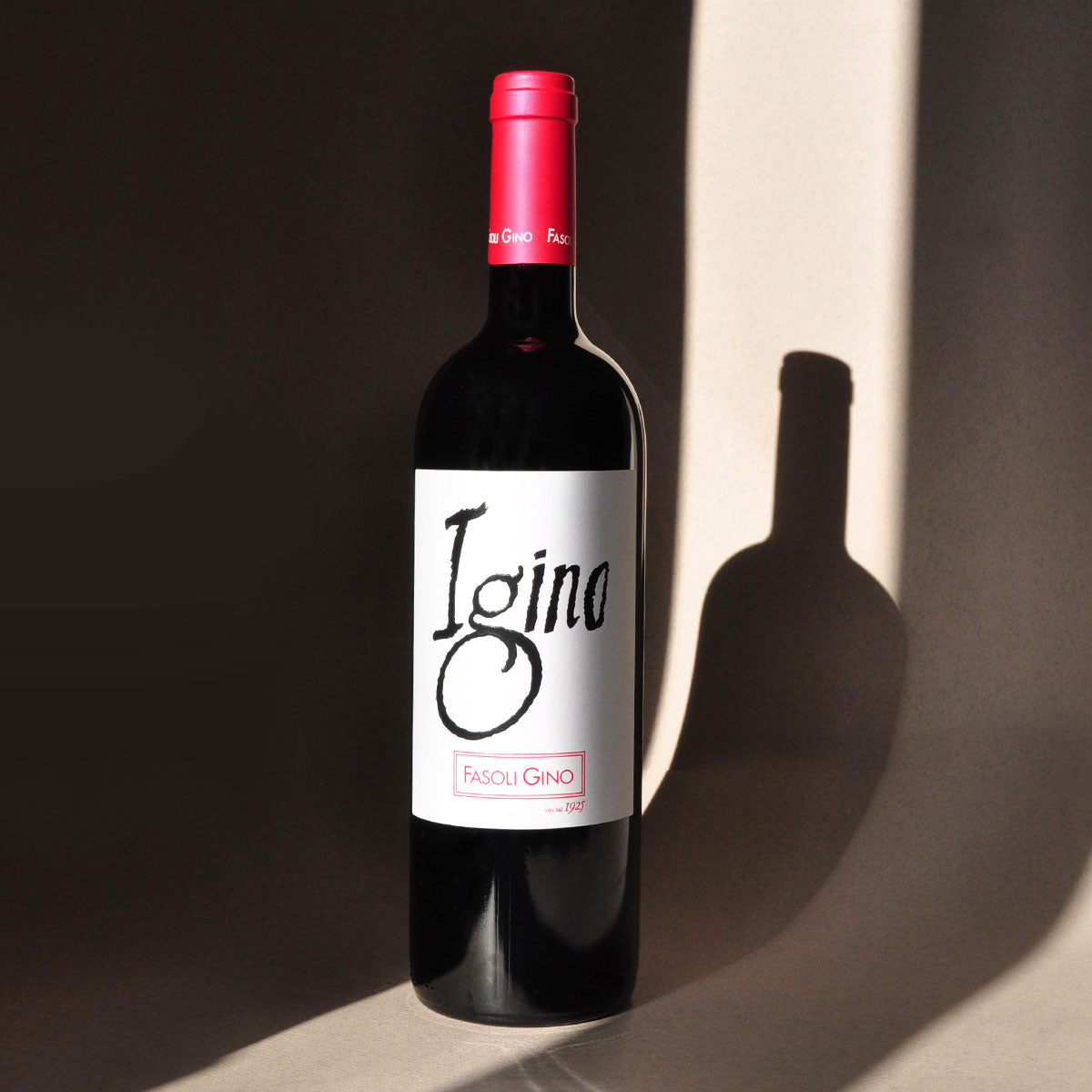 Styled image of Fasoli Gino’s Igino red wine — a rich, expressive biodynamic wine from Veneto, ideal for aging and elegant dinners