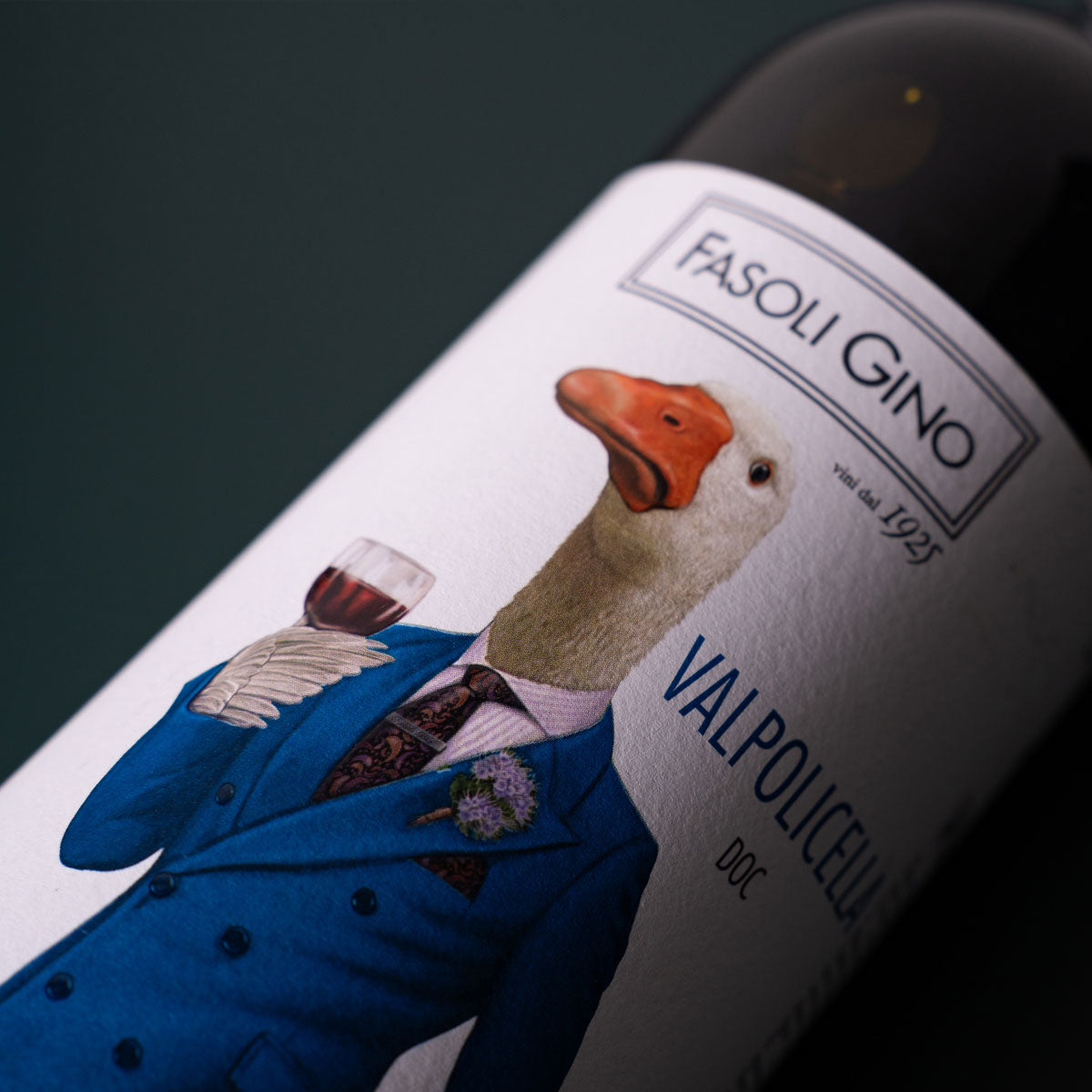 Close-up of Fasoli Gino Valpolicella label — a biodynamic and organic red wine from Veneto, crafted with native grapes like Corvina and Rondinella