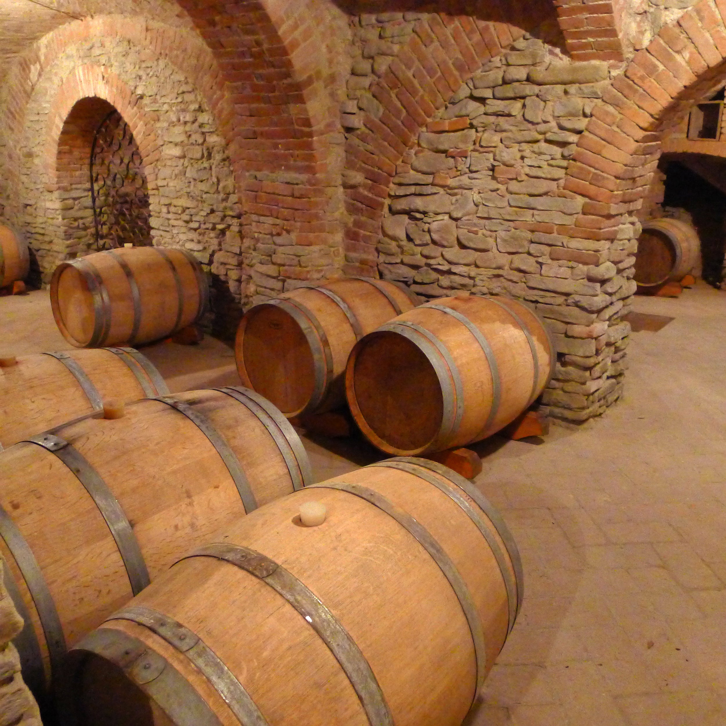 Gabriele Scaglione Wine Cellar – Sustainable Italian Cantina for Aging Premium Wines at InVinus