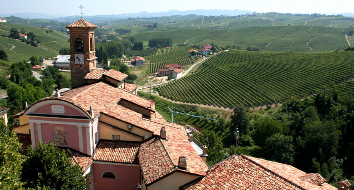 Vineyards of Gabriele Scaglione's estate in Piedmont, nestled near the Alps and home to regional varietals like Nebbiolo, Barbera, and Moscato.