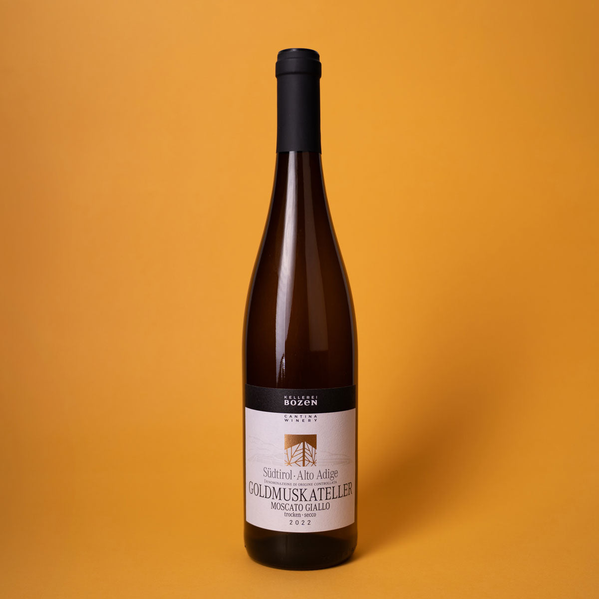 Styled image of Kellerei Bozen’s Goldmuskateller — a fragrant and expressive white wine from Alto Adige, perfect for aperitifs and lightly spiced cuisine
