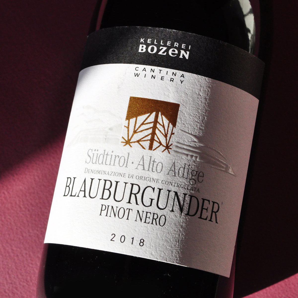 Close-up of Kellerei Bozen Pinot Nero label — a sustainably made red wine from Alto Adige, showcasing finesse, red berry notes, and Alpine freshness