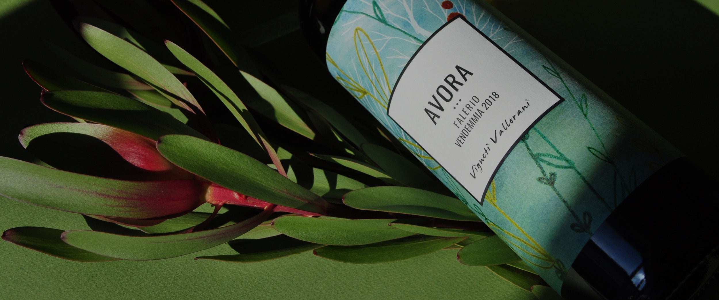 Vigneti Vallorani Avora Wine Bottle – Blend of Pecorino, Passerina, and Trebbiano with Freshness from Sea-Influenced Vineyards at InVinus