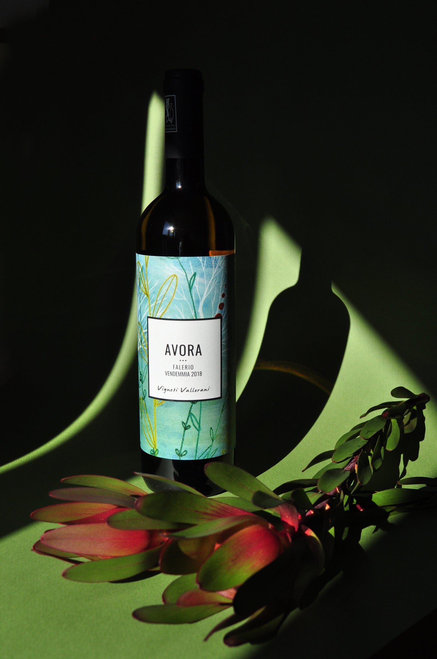 Vigneti Vallorani Avora Wine Bottle – Blend of Pecorino, Passerina, and Trebbiano with Freshness from Sea-Influenced Vineyards at InVinus
