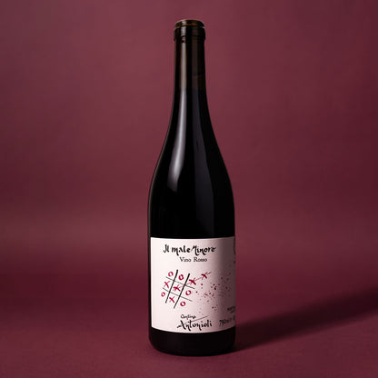 Styled image of Cantina Antonioli’s Il Male Minore — a mountain red wine from Valtellina, pure and expressive, balancing tension, freshness, and Nebbiolo character