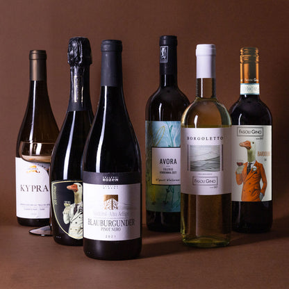 Mixed Pack – Two Organic Italian White Wines and a Sparkling Wine Curated for Fresh, Celebratory Moments at InVinus