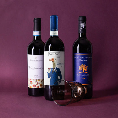 Threee-bottle mixed pack of organic and biodynamic Italian red wines — a bold InVinus selection for those who want to think and drink like an Italian