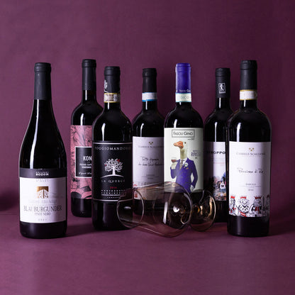 InVinus Volare Rosso Mixed Pack – Curated Selection of Organic and Natural Italian Red Wines for Discovery and Enjoyment